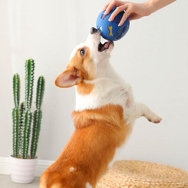 pet dog игрушка собаки чистый натуральный резиновый утечка для утечки пищевых мяч интерактивное домашнее животное кошачьего зубов тренировоч
pet dog игрушка собаки чистый натуральный резиновый утечка для утечки пищевых мяч интерактивное домашнее животное кошачьего зубов тренировоч