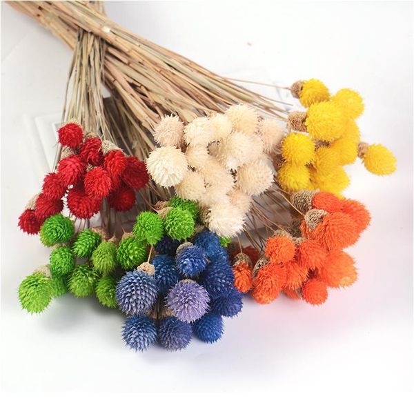 15pcs artificial flower strawberrie grass dried flower bouquet handmade for wedding home christmas decoration diy wreat jllhym
15pcs artificial flower strawberrie grass dried flower bouquet handmade for wedding home christmas decoration diy wreat jllhym
