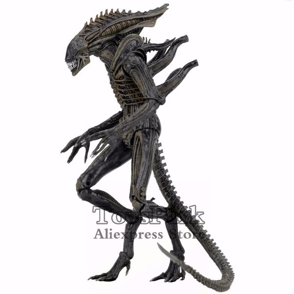 aliens 7" defiance xenomorph warrior action figure from dark horse defiance comic ko's neca alien series 11 toys doll 1008
aliens 7" defiance xenomorph warrior action figure from dark horse defiance comic ko's neca alien series 11 toys doll 1008