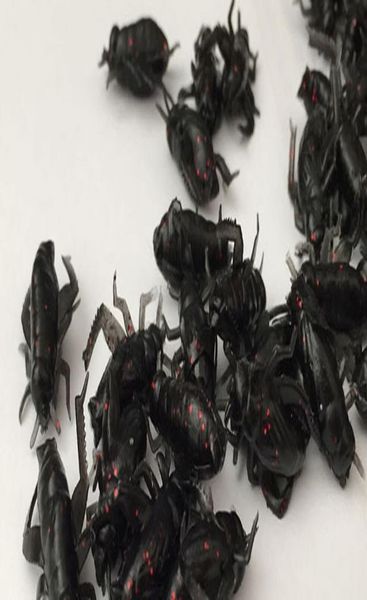 20pcs/lot 0.6g 2cm artificial soft fishing lures cricket insect bait lifelike fishing lure soft lure baits insect leurre peche wmtnow
20pcs/lot 0.6g 2cm artificial soft fishing lures cricket insect bait lifelike fishing lure soft lure baits insect leurre peche wmtnow