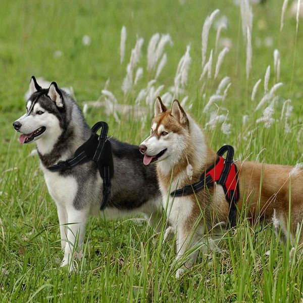 adjustable nylon pet dog harness vest reflective mesh big harnesses for small medium large dogs walking training k9 hu bbytxz
adjustable nylon pet dog harness vest reflective mesh big harnesses for small medium large dogs walking training k9 hu bbytxz