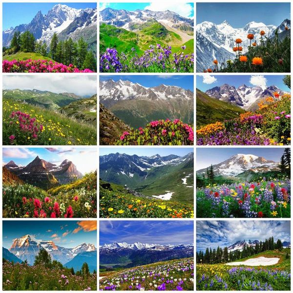 evershine diamond painting kits mountain rhinestones art diamond embroidery flowers scenery cross stitch hobby gift home decor
evershine diamond painting kits mountain rhinestones art diamond embroidery flowers scenery cross stitch hobby gift home decor