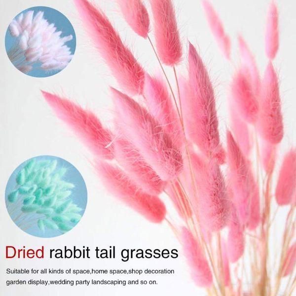 30pcs/lot natural dried flowers colorful real flower bouquet for home wedding decoration tail grass bunch1
30pcs/lot natural dried flowers colorful real flower bouquet for home wedding decoration tail grass bunch1