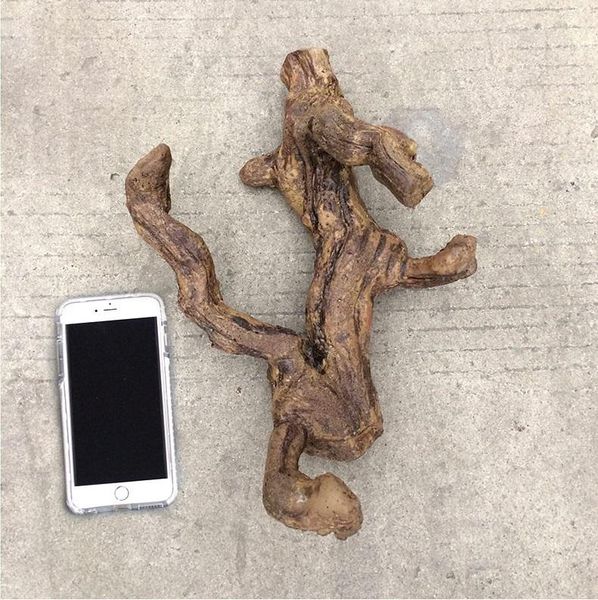 home porch decoration artificial plant small dry branch root fake wood ornaments flower arrangement materials
home porch decoration artificial plant small dry branch root fake wood ornaments flower arrangement materials