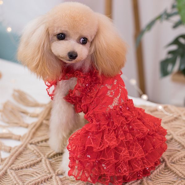 handmade dog apparel clothes pet dress red lace hollow pattern tutu vest cats outfit poodle maltese yorkie
handmade dog apparel clothes pet dress red lace hollow pattern tutu vest cats outfit poodle maltese yorkie
