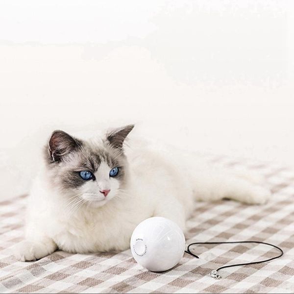 cat playing ball toy automatic rolling ball jumping activation cat toy powered by battery interactive pet exercise indoor1
cat playing ball toy automatic rolling ball jumping activation cat toy powered by battery interactive pet exercise indoor1