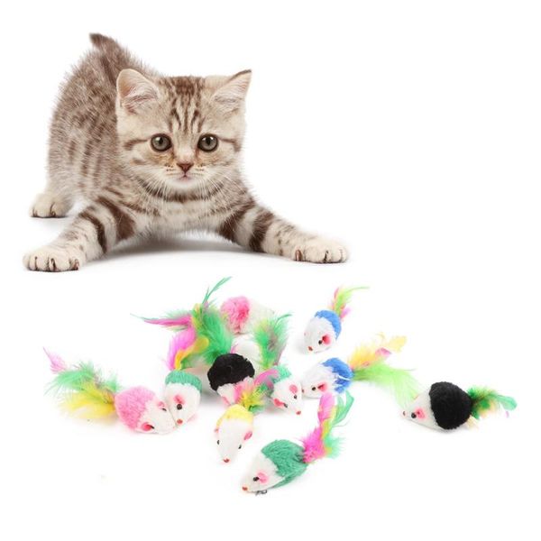 cat toys 10pcs/lot soft fleece false mouse colorful feather funny playing for cats kitten
cat toys 10pcs/lot soft fleece false mouse colorful feather funny playing for cats kitten