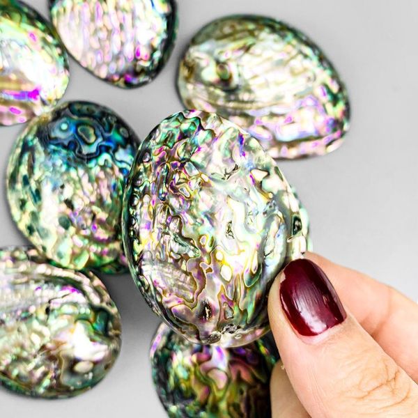 2pcs natural abalone shell pendants charms single side mother of pearl shell diy gifts pendants for jewelry making accessories h bbynku
2pcs natural abalone shell pendants charms single side mother of pearl shell diy gifts pendants for jewelry making accessories h bbynku