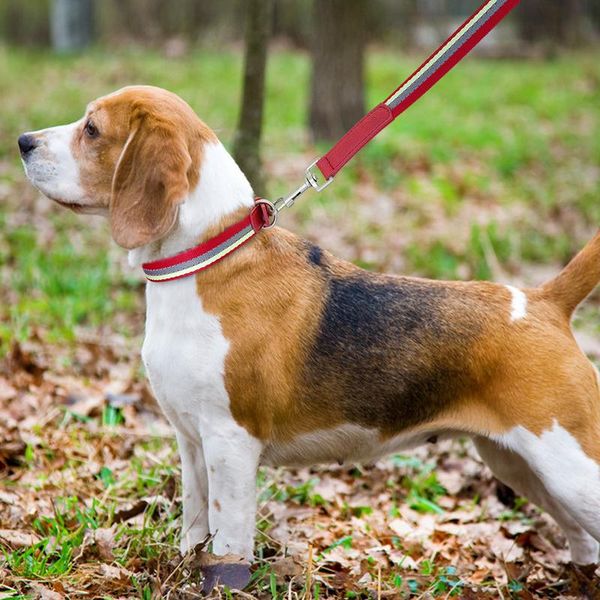 nylon dog collar and leash set adjustable reflective strip dog collars and pet walking lead leash for small medium dogs wmtybt
nylon dog collar and leash set adjustable reflective strip dog collars and pet walking lead leash for small medium dogs wmtybt