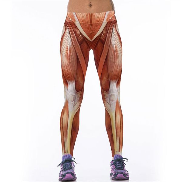 women sportswear bodybuilding legging pants workout 3d muscle print capris fitness leggings skinny mallas mujer deportivas, Black
women sportswear bodybuilding legging pants workout 3d muscle print capris fitness leggings skinny mallas mujer deportivas, Black