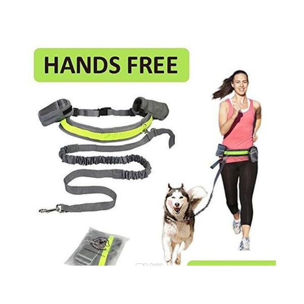 pet dog leash hands cat running jogging padded waist belt reflective strip elastic leash perfect walking training dog leash set j4m5t
pet dog leash hands cat running jogging padded waist belt reflective strip elastic leash perfect walking training dog leash set j4m5t