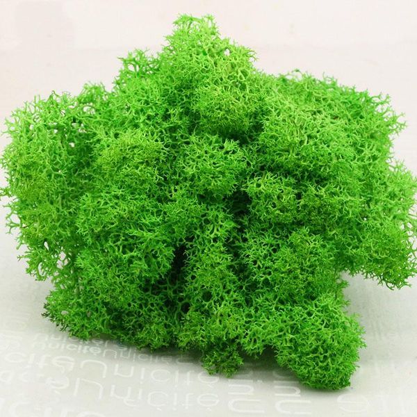 decorative flowers & wreaths artificial everlasting moss plant eternal grass garden home decor diy flower material micro landscape accessori
decorative flowers & wreaths artificial everlasting moss plant eternal grass garden home decor diy flower material micro landscape accessori