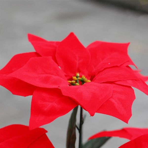 реальные сенсорной фланель искусственных рождественских цветов красного poinsettia кусты букеты xmas tree украшение centerpiece на рождестве
реальные сенсорной фланель искусственных рождественских цветов красного poinsettia кусты букеты xmas tree украшение centerpiece на рождестве
