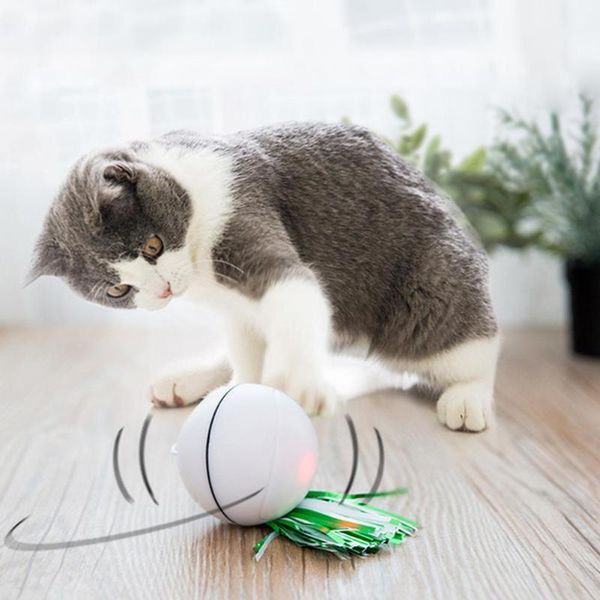 

cat toys usb rechargeable electric rolling ball for cats interactive laser magic toy with light keep your pet busy