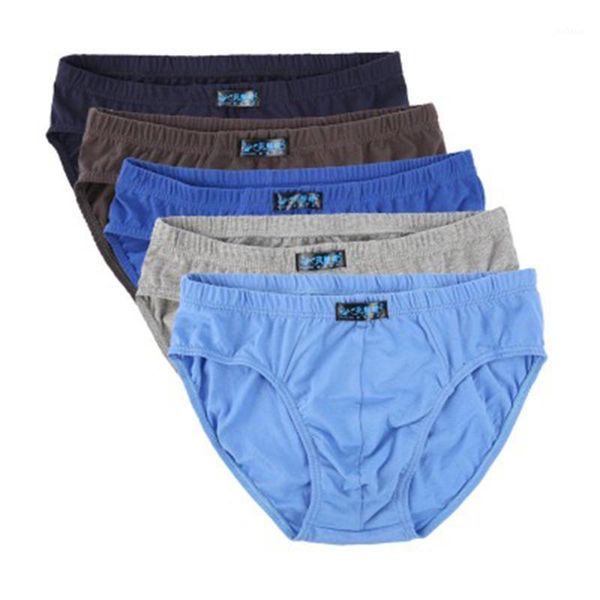 10pcs/lot briefs big and tall mens 100% cotton underwear shorts solid fashion brief underpants ofnk-0091, Black;white
10pcs/lot briefs big and tall mens 100% cotton underwear shorts solid fashion brief underpants ofnk-0091, Black;white