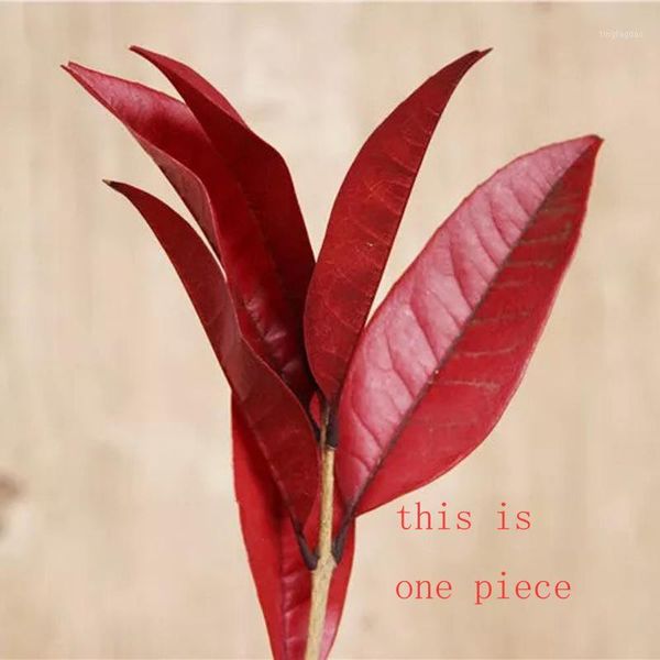decorative flowers & wreaths 6ps/lot nature fresh preserved leaf branch,diy eternell floral flower, party wedding favors mariage decoration
decorative flowers & wreaths 6ps/lot nature fresh preserved leaf branch,diy eternell floral flower, party wedding favors mariage decoration