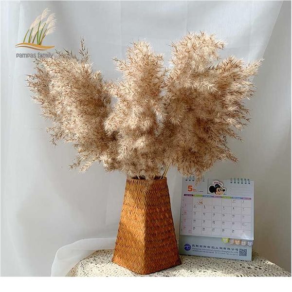 pampas grass decor plants home wedding decor dried flowers bunch feather flowers natural phragmites tall 20-22'' plas wmtpht
pampas grass decor plants home wedding decor dried flowers bunch feather flowers natural phragmites tall 20-22'' plas wmtpht