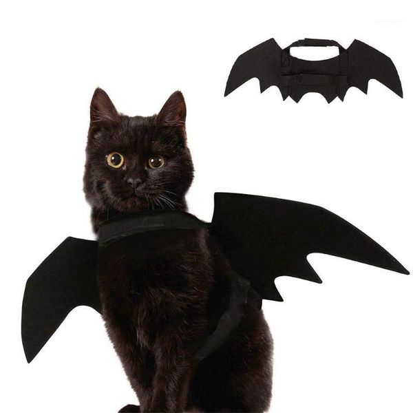 cat costumes halloween costume for dog bat vampire fancy dress up black disguise cosplay clothing pet products1
cat costumes halloween costume for dog bat vampire fancy dress up black disguise cosplay clothing pet products1