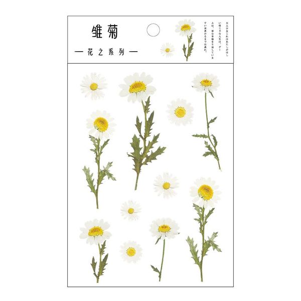 12 designs natural daisy clover japanese words stickers transparent pet material flowers leaves plants deco sticker aesthetic wmteub
12 designs natural daisy clover japanese words stickers transparent pet material flowers leaves plants deco sticker aesthetic wmteub