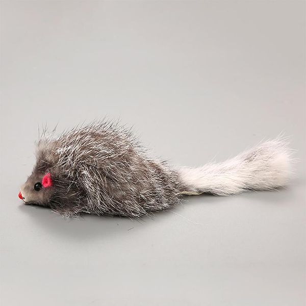 5pcs furry plush cat toy soft solid interactive mice mouse toys for cats funny kitten toy pet cats training game pet qyluvt
5pcs furry plush cat toy soft solid interactive mice mouse toys for cats funny kitten toy pet cats training game pet qyluvt