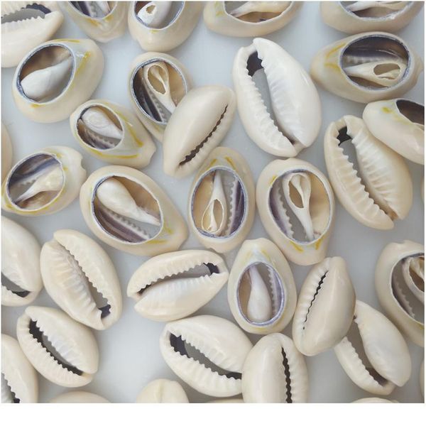 happykiss 500g gray phnom penh slice holles natural sea shells loose beads accessories diy conch ornament home fish ta qylxyj
happykiss 500g gray phnom penh slice holles natural sea shells loose beads accessories diy conch ornament home fish ta qylxyj