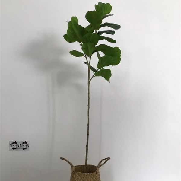 122cm artificial rare banyan tree branch plastic palm tree potted tropical main plants home living room l shop office decor 1029
122cm artificial rare banyan tree branch plastic palm tree potted tropical main plants home living room l shop office decor 1029