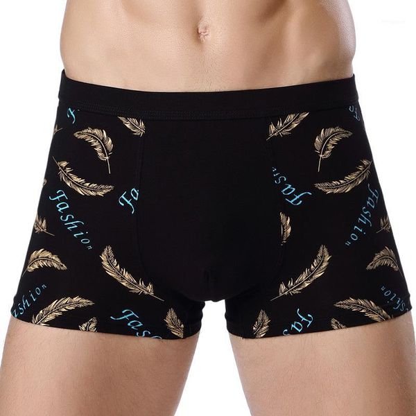 panties mens underwear soft cotton boxers men boxers shorts breathable plus size male underpants l xl 2xl 3xl 4xl1, Black;white 
panties mens underwear soft cotton boxers men boxers shorts breathable plus size male underpants l xl 2xl 3xl 4xl1, Black;white