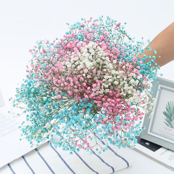 2021 flowers bouquet dried real home white small starry decoration fresh ornaments christmas gifts new
2021 flowers bouquet dried real home white small starry decoration fresh ornaments christmas gifts new