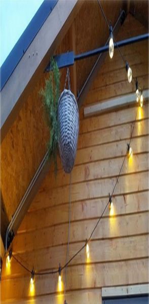 10 20 bulb led шар строка фея свет рождества g50 открытый водонепроницаемый привело свет шнура венчания garden party patio street bbyntn
10 20 bulb led шар строка фея свет рождества g50 открытый водонепроницаемый привело свет шнура венчания garden party patio street bbyntn