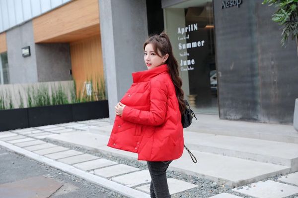 lightweight women's winter 2020 new stand collar long sleeve short white down bread jacket fashion coat, Black
lightweight women's winter 2020 new stand collar long sleeve short white down bread jacket fashion coat, Black