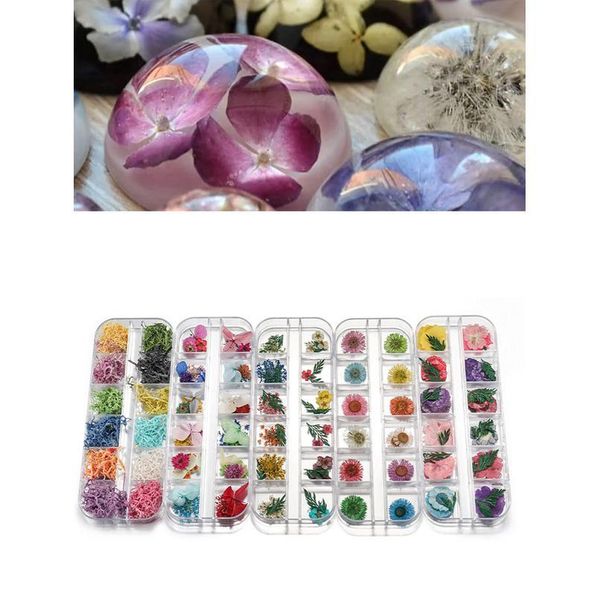 1box ammi majus real dried flower dry plants for epoxy resin pendant jewelry making craft diy accessories nail art decal qylprj
1box ammi majus real dried flower dry plants for epoxy resin pendant jewelry making craft diy accessories nail art decal qylprj