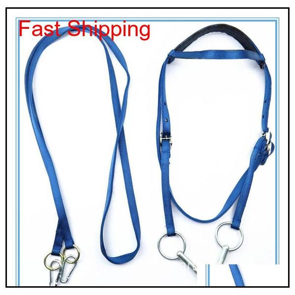 fullset horse halter bridle pony fixed rein belt durable horse riding ac qylkxw bde_luck
fullset horse halter bridle pony fixed rein belt durable horse riding ac qylkxw bde_luck