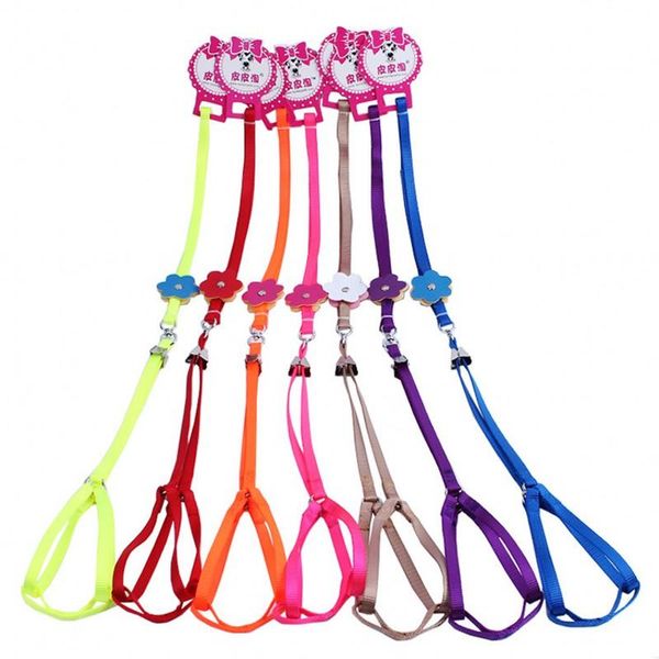 dog collars & leashes quality nylon pet leash running jogging harnesses adjustable collar walking safety harness fluorescent colors
dog collars & leashes quality nylon pet leash running jogging harnesses adjustable collar walking safety harness fluorescent colors