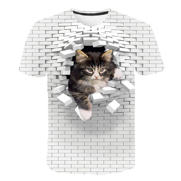 3d cat wall print quality female 3d print shirts hippie anime funny men clothing
3d cat wall print quality female 3d print shirts hippie anime funny men clothing