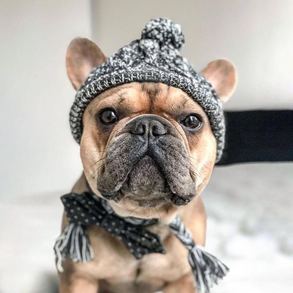 fashion autumn and winter fur ball keeps warm and windproof puff ball knitting method dog hat new pet headgear
fashion autumn and winter fur ball keeps warm and windproof puff ball knitting method dog hat new pet headgear