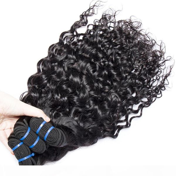elibess hair- brazilian virgin human hair water wave weave double weft 50g piece 5 bundles human hair bundles remy hair extension, Black
elibess hair- brazilian virgin human hair water wave weave double weft 50g piece 5 bundles human hair bundles remy hair extension, Black
