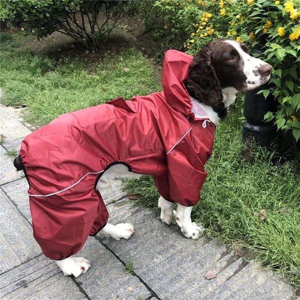 собака дождевик корги сиба ину самоед husky лабрадор золотистый ретривер одежда большой большой пес дождь куртка комбинезон водонепроницаемы
собака дождевик корги сиба ину самоед husky лабрадор золотистый ретривер одежда большой большой пес дождь куртка комбинезон водонепроницаемы