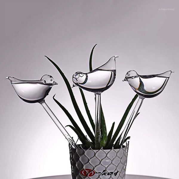 1pcs automatic flower watering device plant waterer self watering globes bird shape hand blown clear aqua bulbs new1
1pcs automatic flower watering device plant waterer self watering globes bird shape hand blown clear aqua bulbs new1