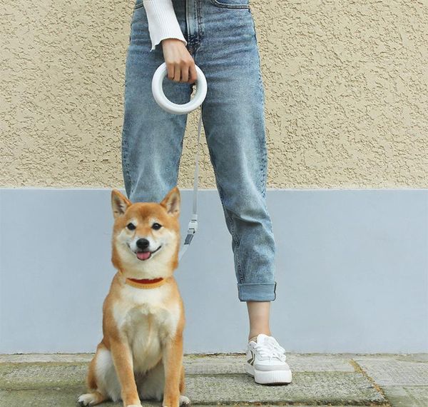 moestar 3 meters matic retractable dog traction rope leash upgraded durable with rechargeable led light for xiaomi home 201028 bbyypqp
moestar 3 meters matic retractable dog traction rope leash upgraded durable with rechargeable led light for xiaomi home 201028 bbyypqp