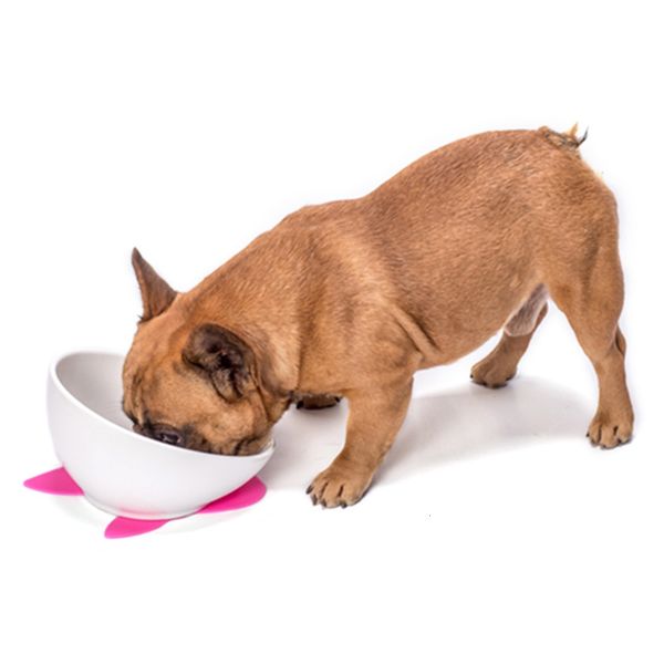 pet ceramic bullfight french english fight bagot teddy slant mouth flat face medium and large dog bowl suit
pet ceramic bullfight french english fight bagot teddy slant mouth flat face medium and large dog bowl suit