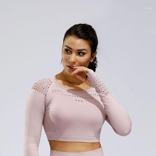 yoga outfits seamless shirt short sleeve crop women sport gym t-shirt workout1, White;red
yoga outfits seamless shirt short sleeve crop women sport gym t-shirt workout1, White;red