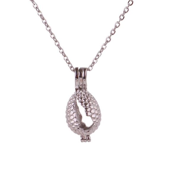 k1643 dull silver copper oval shell bead pearl cage aroma essential oil diffuser locket necklace with stainless steel chain
k1643 dull silver copper oval shell bead pearl cage aroma essential oil diffuser locket necklace with stainless steel chain