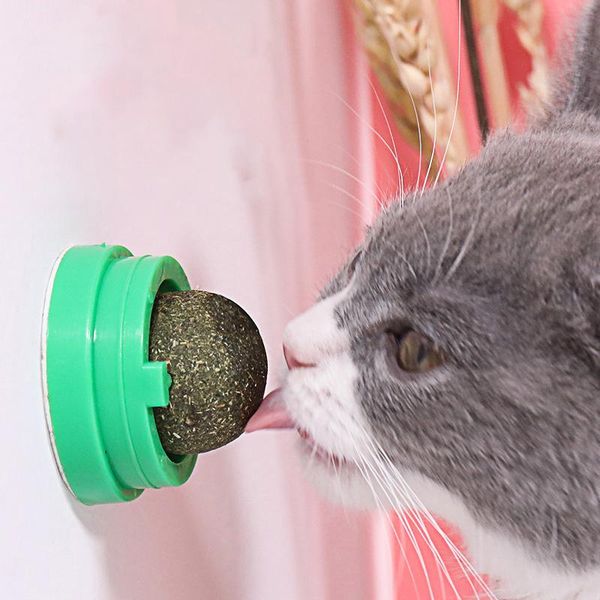 pet catnip игрушка съедобных catnip бал безопасность игрушек здоровый cat mint кошка главная чеканка игра домашнему животное зубы чистой чу
pet catnip игрушка съедобных catnip бал безопасность игрушек здоровый cat mint кошка главная чеканка игра домашнему животное зубы чистой чу