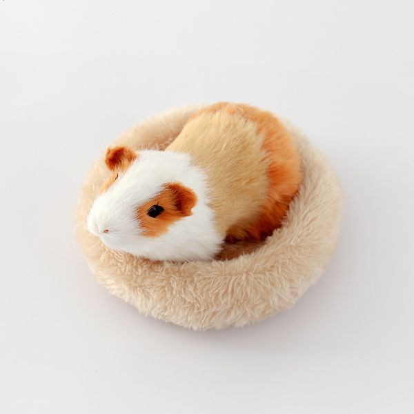 4 house get buy pet 1 nest for small animals warm guinea hamster cushion mat round shape pet bed for squirrel hedgehog rabbit chinchilla
4 house get buy pet 1 nest for small animals warm guinea hamster cushion mat round shape pet bed for squirrel hedgehog rabbit chinchilla