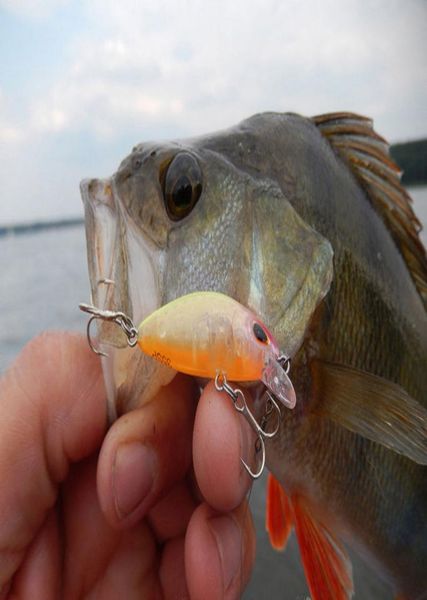 7шт / серия 3.5cm 2g плавать рыба рыболовной приманки искусственного жесткого crank bait topwater холодец мини рыбалка воблер воблер sqcphr
7шт / серия 3.5cm 2g плавать рыба рыболовной приманки искусственного жесткого crank bait topwater холодец мини рыбалка воблер воблер sqcphr