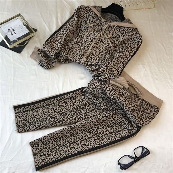 women knit hooded zipper jacket pants sets autumn winter leopard coats trousers tracksuits outfits, Gray
women knit hooded zipper jacket pants sets autumn winter leopard coats trousers tracksuits outfits, Gray