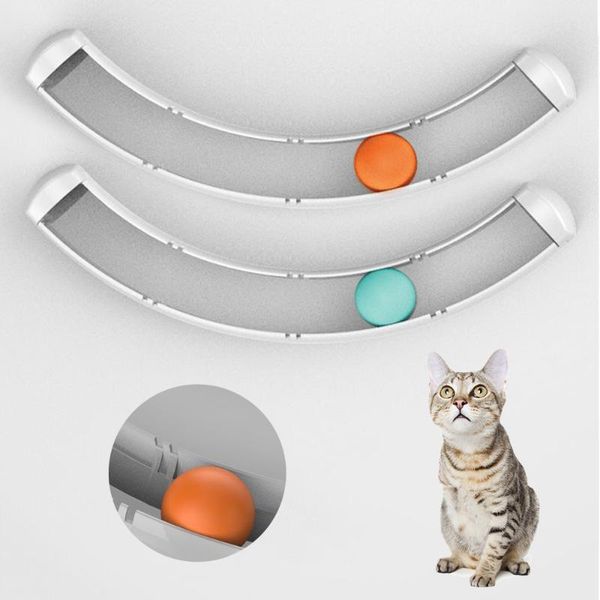 cat toys interactive track ball toy practical window suction cup play tunnel pet accessories
cat toys interactive track ball toy practical window suction cup play tunnel pet accessories