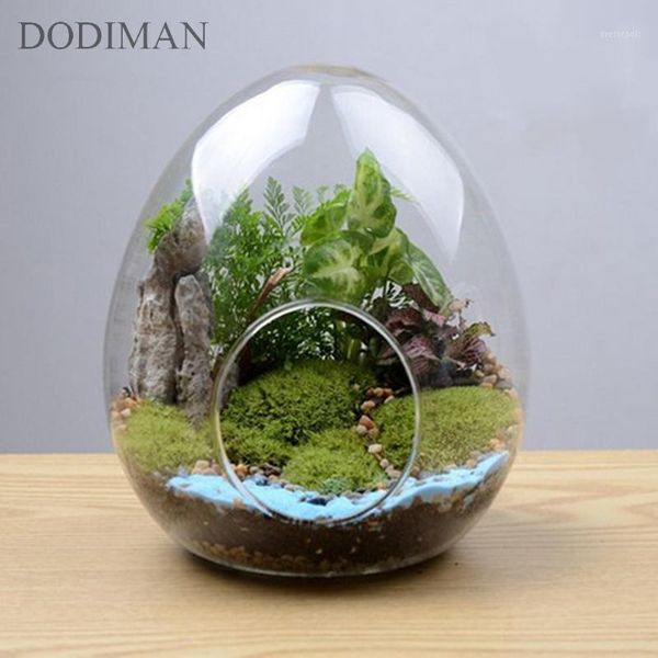 1pc creative egg-shaped glass bottles glass vase hydroponic fleshy micro landscape bottle moss home decoration1
1pc creative egg-shaped glass bottles glass vase hydroponic fleshy micro landscape bottle moss home decoration1