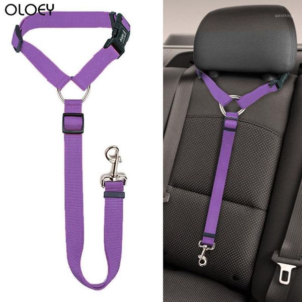 universal practical dog cat pet safety adjustable car seat belt harness leash travel clip strap lead pet car safety belt1
universal practical dog cat pet safety adjustable car seat belt harness leash travel clip strap lead pet car safety belt1