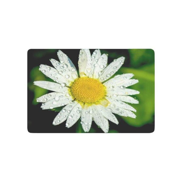 carpets water dew drop on daisy flower anti-slip door mat home decor, spring green indoor outdoor entrance doormat rubber backing
carpets water dew drop on daisy flower anti-slip door mat home decor, spring green indoor outdoor entrance doormat rubber backing